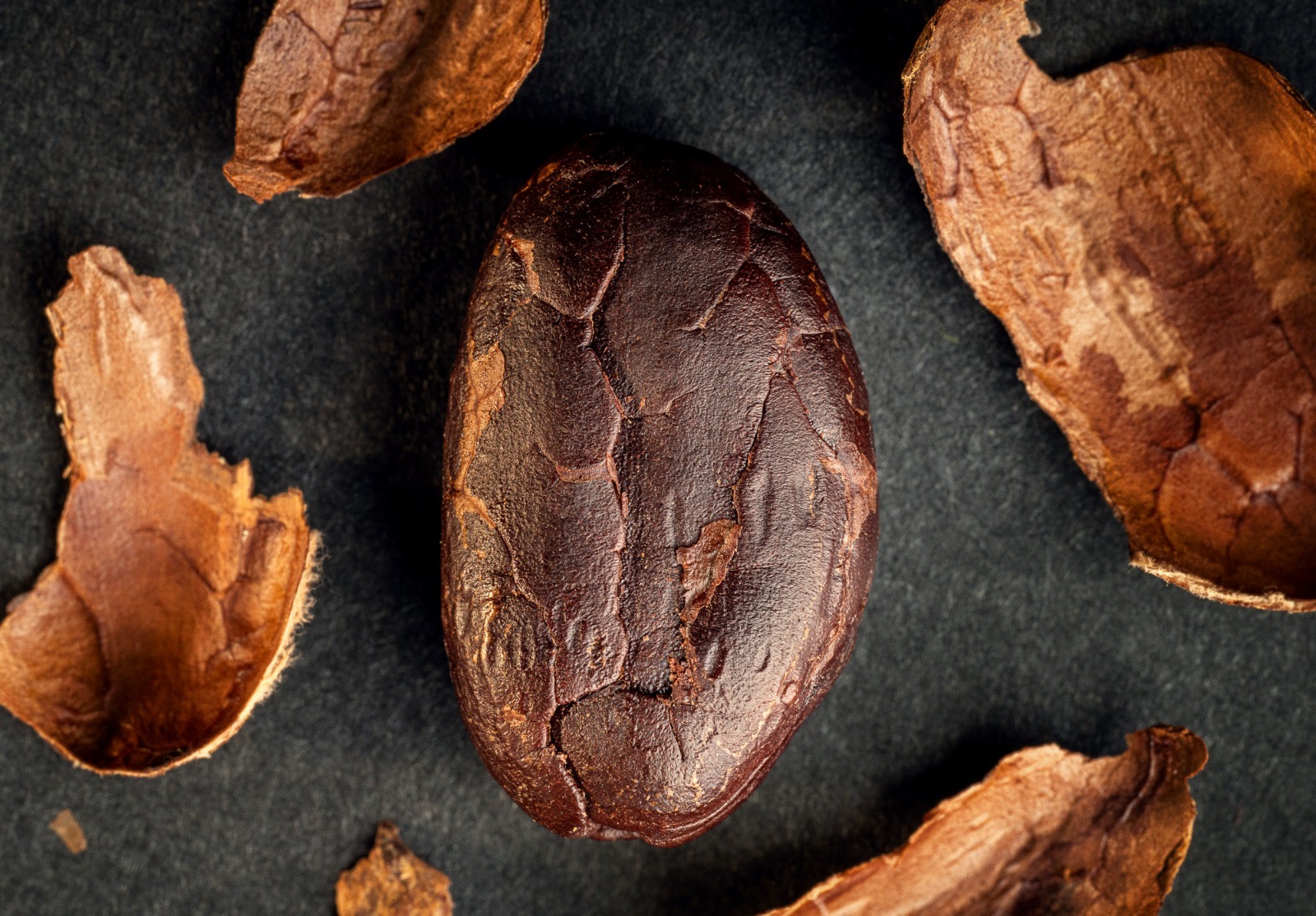 Festivalul Chocolate Saga începe pe 13 martie cu trei sărbători.