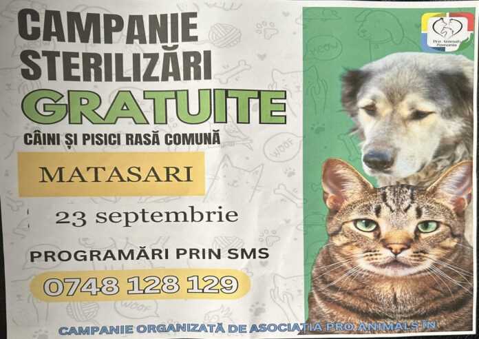 asociatia pro animals